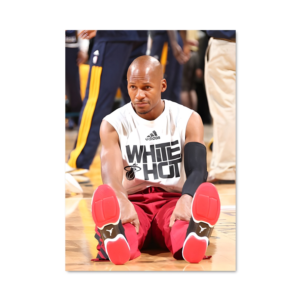 Poster Ray allen relevés